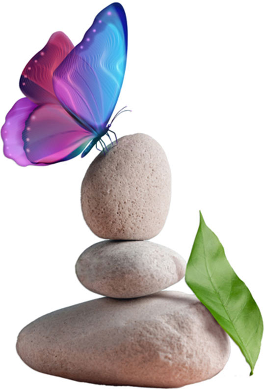 Mind Body Soul